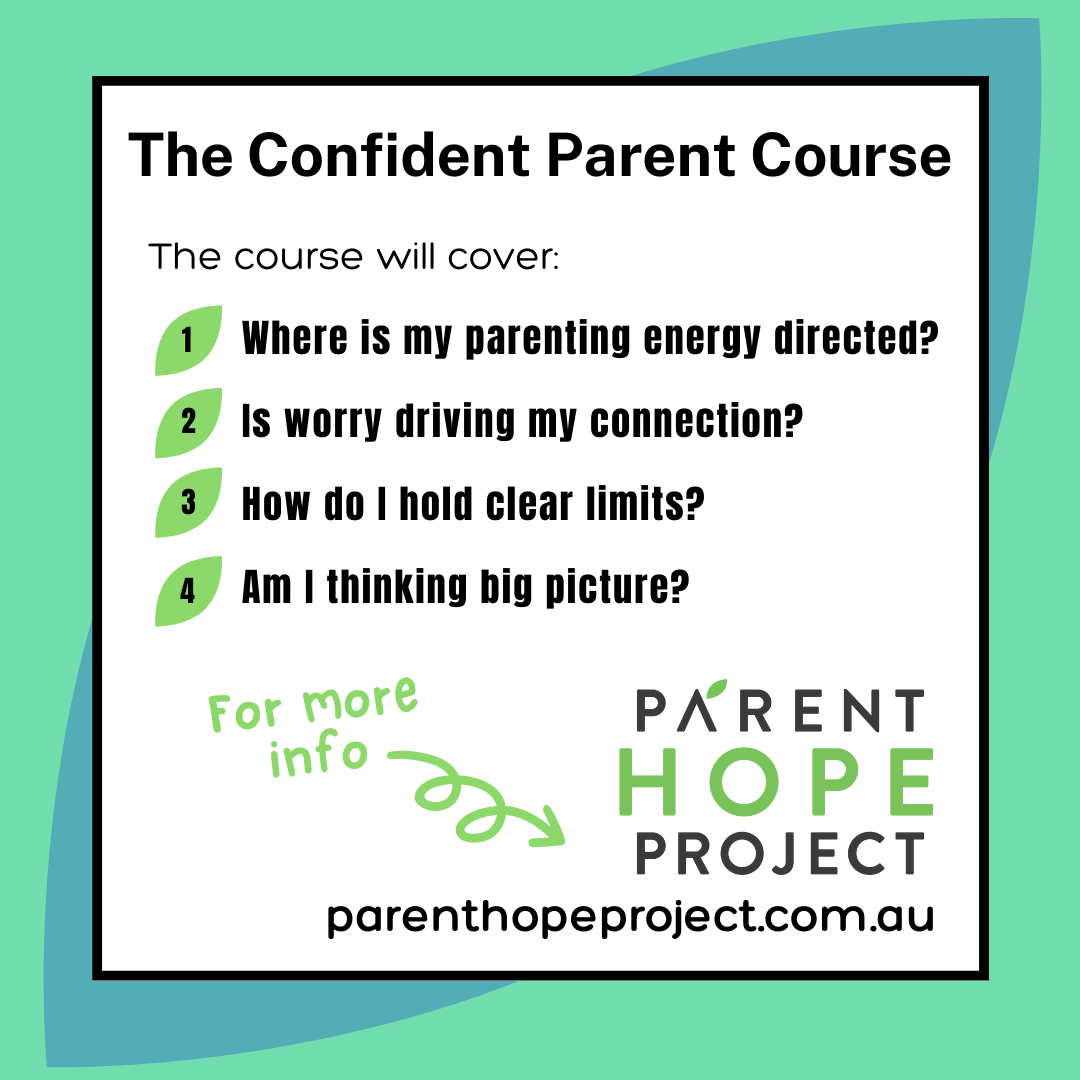 The course will cover:<br />
1. Where is my parenting energy directed?<br />
2. Is worry driving my connection?<br />
3. How do I hold clear limits?<br />
4. Am I thinking big picture?